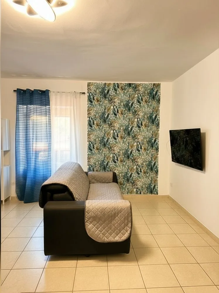Casa Vichy, soggiorno con divano letto e TV