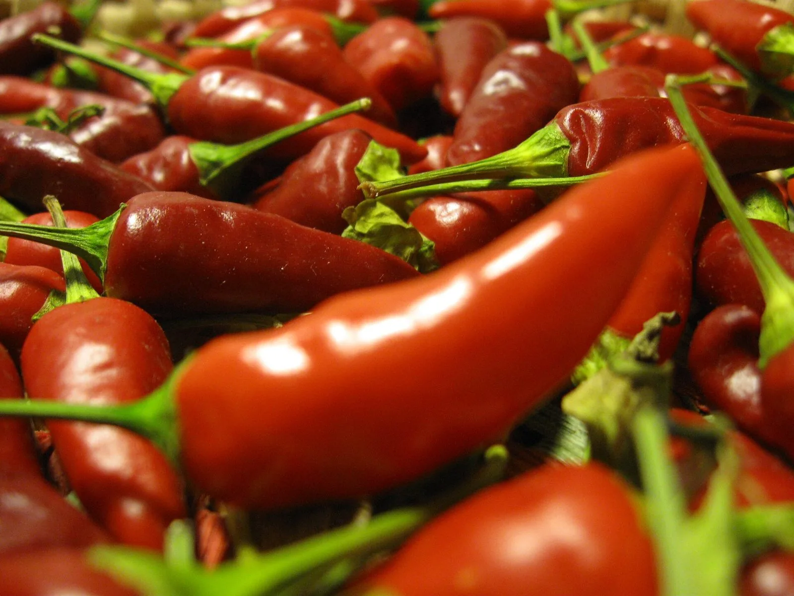 Peperoncini rossi piccanti freschi